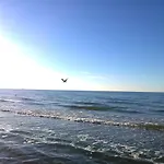 In Nahe Ostseestrand Nyaraló