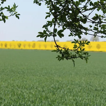 In Nahe Ostseestrand * Rerik