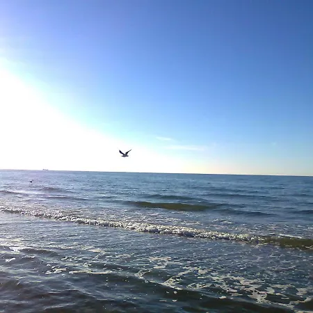 In Nahe Ostseestrand Tatil Evi