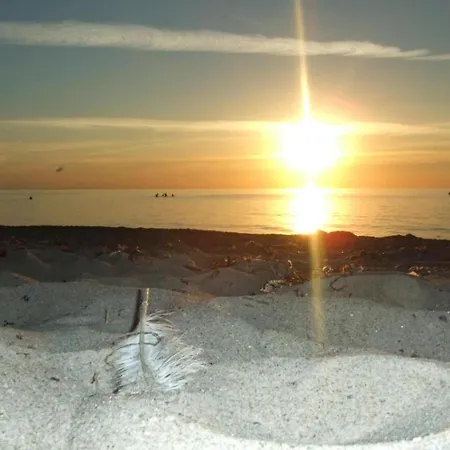 Delightful In Near Baltic Sea Coast *